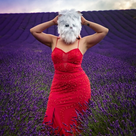 Meet your Posher, Shanel - Picture 6 of 16